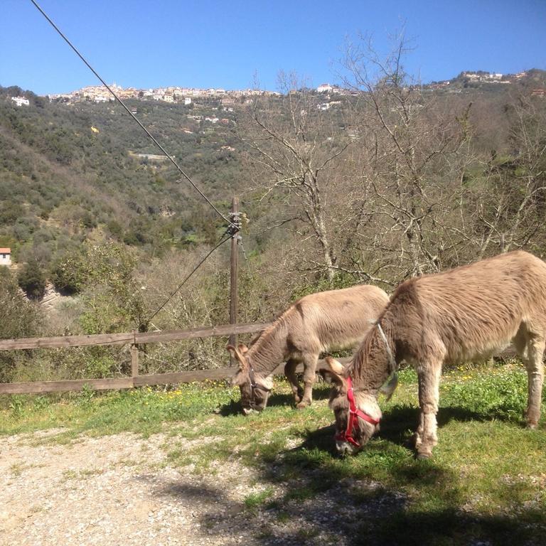Farm stay Il Rifugio Di Artemide *